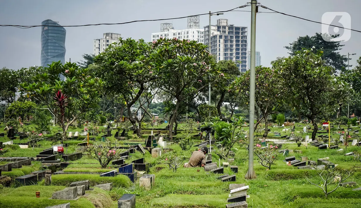 Petugas membersihkan makam yang ada di TPU Karet Bivak, Jakarta, Kamis (4/3/2021). Komisi D DPRD DKI Jakarta meminta menyederhanakan proses izin perpanjangan sewa makam karena proses birokrasi yang rumit dan dianggap mempersulit ahli waris. (Liputan6.com/Faizal Fanani)