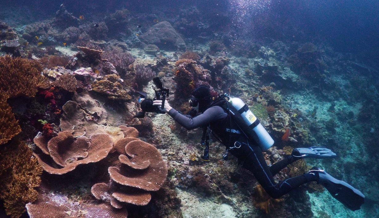 Kepulauan Raja Ampat memiliki peran penting bagi kelestarian alam dunia, oleh karena itu banyak sekali lembaga konservasi dunia yang mengarahkan fokus penelitian mereka di kawasan ini. Tampak dalam foto, ahli biologi kelautan Pol Ramos merekam gambar terumbu karang di lokasi penyelaman Selat Kerno di Raja Ampat, Papua Barat Daya, Kamis, 5 Maret 2026. (AP Photo/Claudia Rosel)