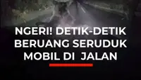 NGERI! DETIK-DETIK BERUANG SERUDUK MOBIL DI  JALAN