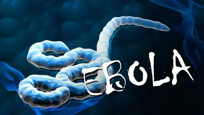 Ilustrasi Virus Ebola (Liputan6.com/Sangaji)