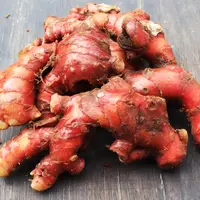 Manfaat Jahe Merah yang Baik untuk Kesehatan Tubuh