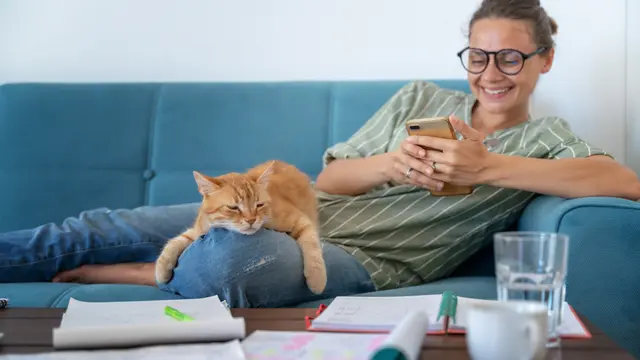 Ilustrasi kucing di pangkuan manusia
