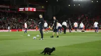 Kucing hitam menganivasi lapangan pertandingan Liverpool melawan Manchester United (Reuters)