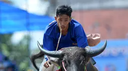 Seorang peserta berkompetisi dalam balap kerbau di Chonburi, Thailand, pada 1 Oktober 2020. Ratusan kerbau mengikuti festival balapan yang digelar setiap Oktober di kalangan petani untuk merayakan panen padi. (Xinhua/Rachen Sageamsak)