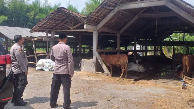 Kapolres di Jatim diminta memantau penyebaran PMK hewan ternak. (Dian Kurniawan/Liputan6.com)