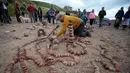 Seorang seniman saat membuat batu bertumpuk atau rock balancing dalam European Stone Stacking Championships 2018 di Dunbar, Skotlandia, Minggu (22/4). (ANDY BUCHANAN/AFP)