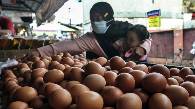 FOTO: Harga Telur Ayam Hampir Sentuh Rp 30 Ribu per Kg