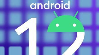 Populasi Android 12 Cuma 13 Persen dari Smartphone yang Beredar