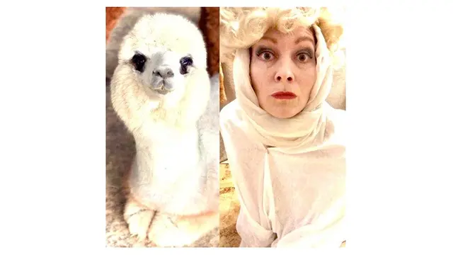 7 Cosplay Low Budget Tiru Hewan dan Tanaman Ini Bikin Geleng Kepala