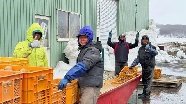 10 Ribu Pekerja RI Bakal Dikirim ke Jepang, Isi Posisi Apa?