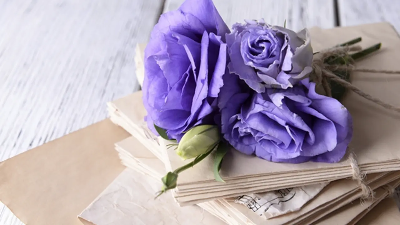 Foto: copyright thinkstockphotos.com