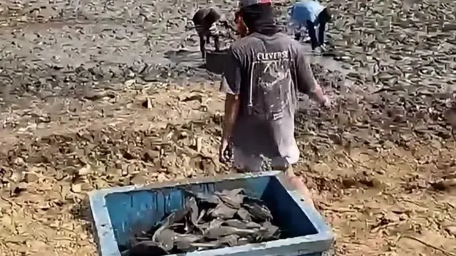 Sungai Silugonggo Mengering Total, Jutaan Ikan Mati dan Warga Pati Terancam Krisis Air