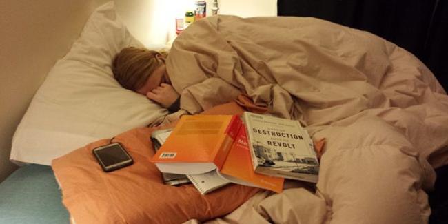Eva yang sedang tidur di antara tumpukan buku. | Foto: copyright buzzfeed.com