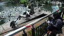 Pengunjung memberi makan burung di  Taman Margasatwa Ragunan (TMR), Jakarta, Sabtu (23/10/2021). Mulai hari ini TMR ragunan dibuka untuk umum dengan menerapkan protokol kesehatan yang ketat. (merdeka.com/Arie Basuki)