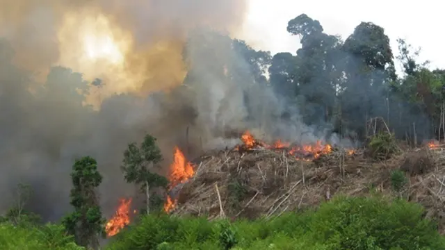  Titik panas yang mengindikasikan terjadinya kebakaran hutan dan lahan di Pulau Sumatera