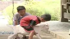 Selalu kreatif dalam berpikir menjadi salah satu ciri anak Indonesia masa kini. 