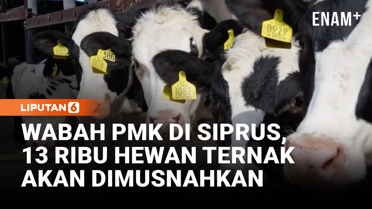 Darurat Wabah PMK di Siprus, Ribuan Hewan Ternak Terancam Dimusnahkan