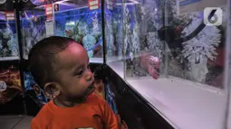 Seorang anak melihat ikan Louhan milik salah satu peserta kontes saat Soul of Competition di Pasar Ikan Hias Johar Baru, Jakarta, Minggu (24/10/2021). Kontes yang diikuti 160 peserta dari berbagai kota di Indonesia ini digelar hingga Senin (25/10). (merdeka.com/Iqbal S. Nugroho)