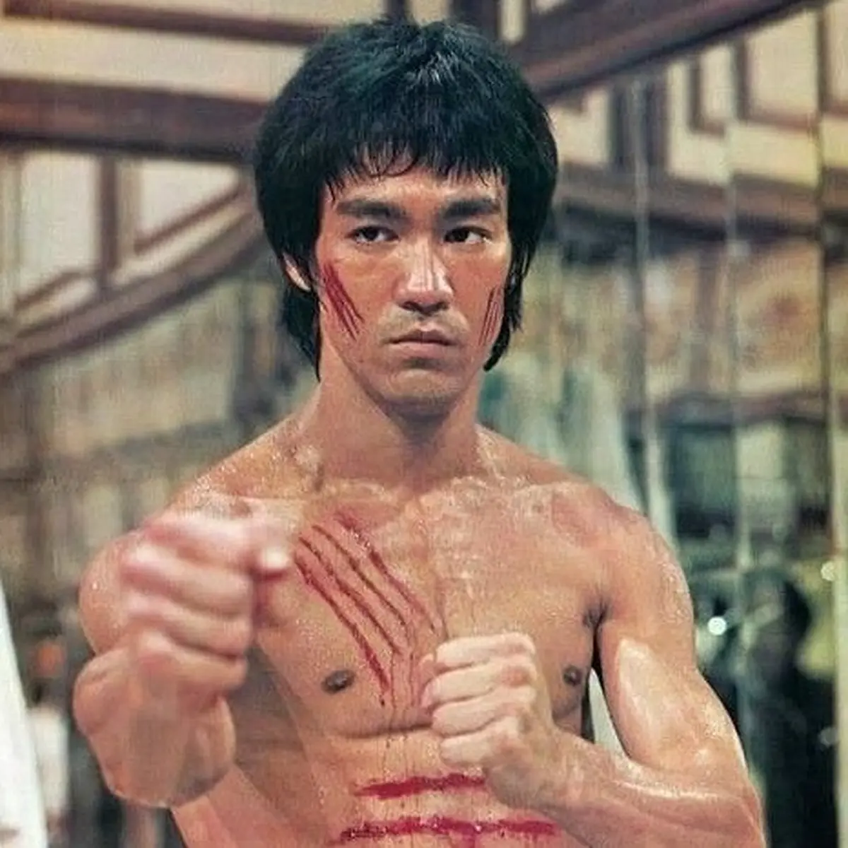 Anak bruce lee top