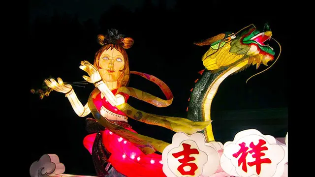 (c) shuflies.blogspot.com