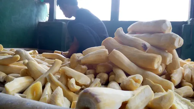 Peuyeum Bandung