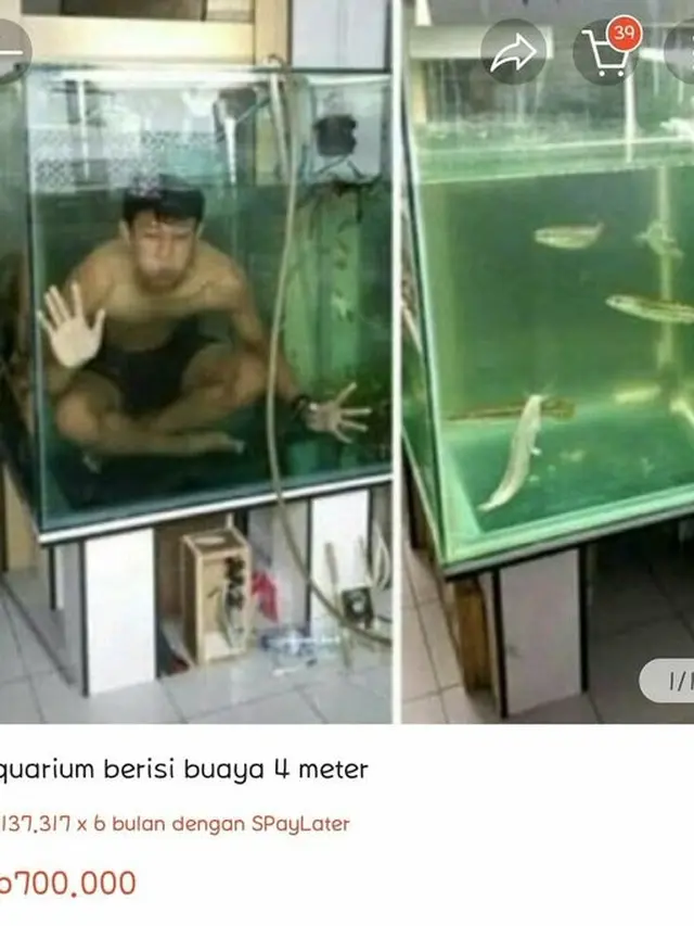 7 Potret Nama Barang Jualan Enggak Sesuai Ini Bikin Geleng Kepala