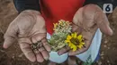 Budi menunjukkan benih bunga matahari yang dijualnya di kawasan Kalimalang, Jakarta, Rabu (14/7/2021). Benih bunga matahari yang dijual Budi dibanderol dengan harga Rp50 ribu per 200 biji. (merdeka.com/Iqbal S Nugroho)