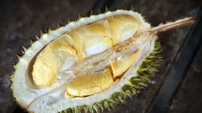 Durian, rajanya buah-buahan/copyright: thinkstockphotos.com