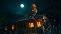Apa Arti Ayam Berkokok Tengah Malam: Simak Mitos dan Faktanya