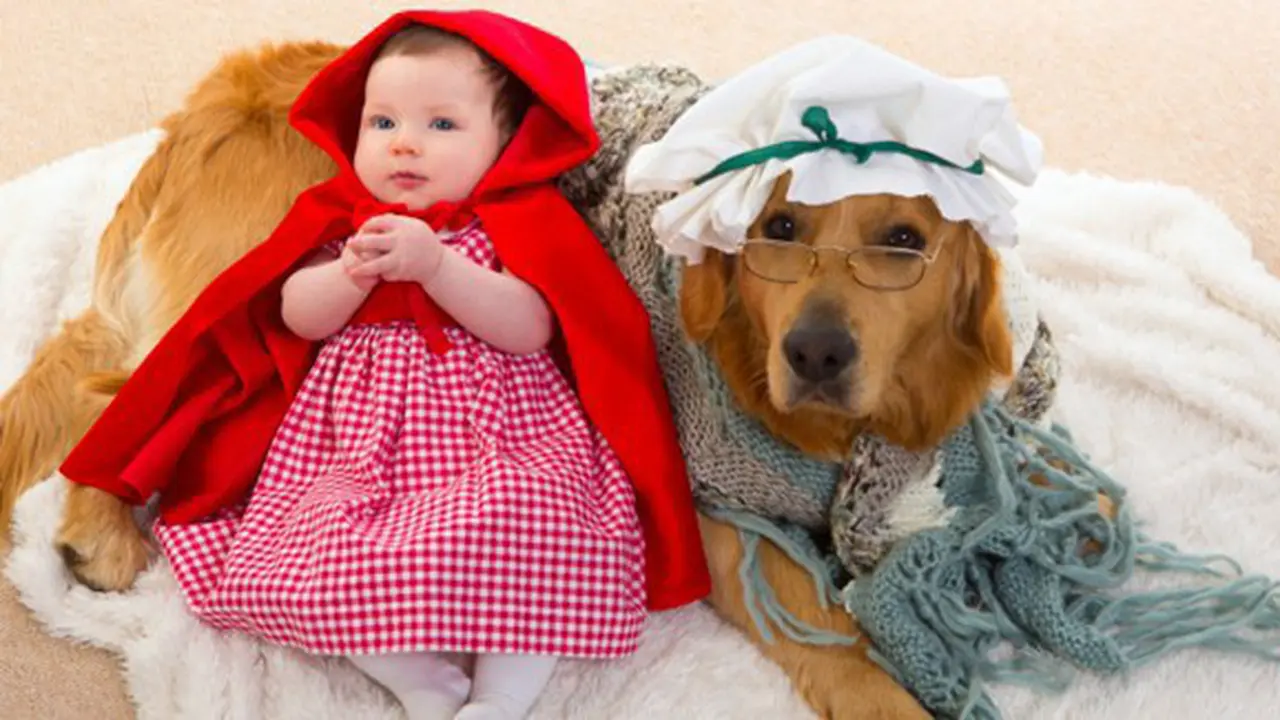 Foto: copyright thinkstockphotos.com