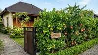 12 Rekomendasi Tanaman Buah yang Membuat Pagar Rumah Lebih Rindang dan Produktif