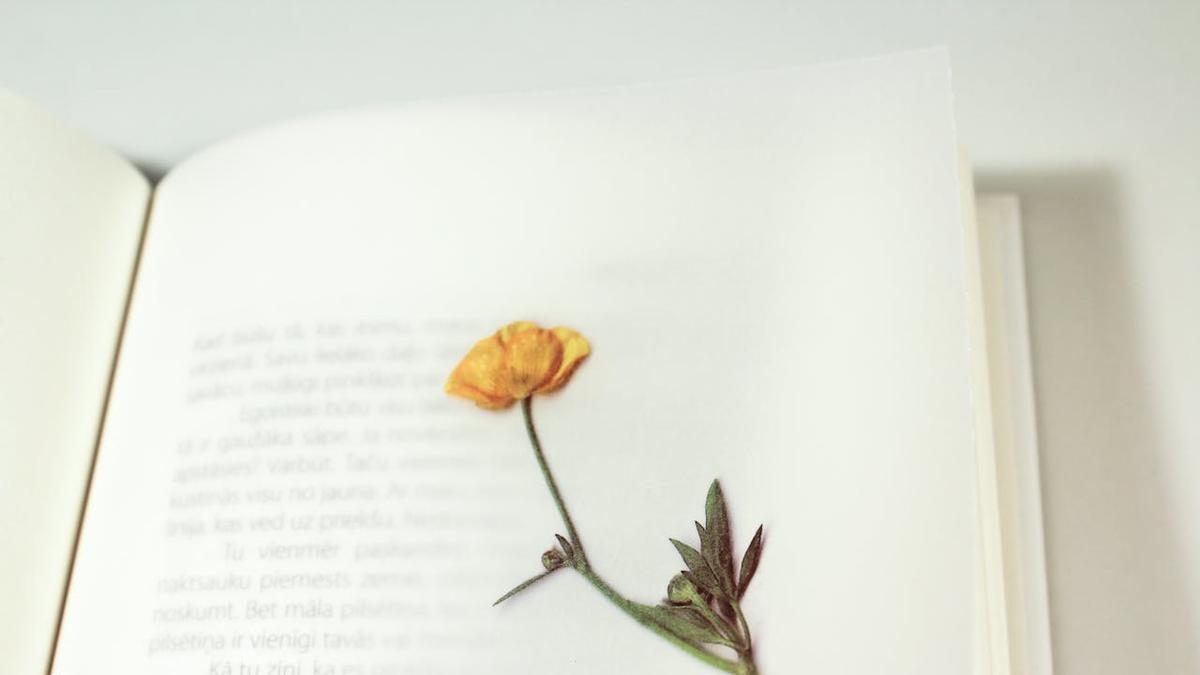 15 Puisi Tentang Lingkungan Isinya Pesan Jaga Kelestarian