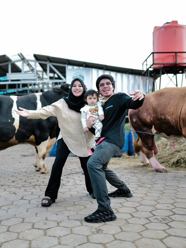 5 Artis Ini Pilih Sapi Jumbo untuk Kurban Idul Adha, Rela Cari ke Luar Kota