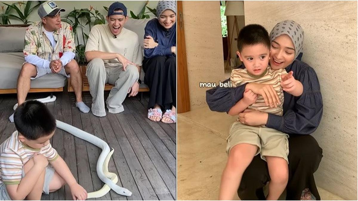 6 Potret Anak Citra Kirana Tak Takut Main Ular Milik Irfan Hakim, Nangis Minta Beli Berita Viral Hari Ini Selasa 22 Oktober 2024