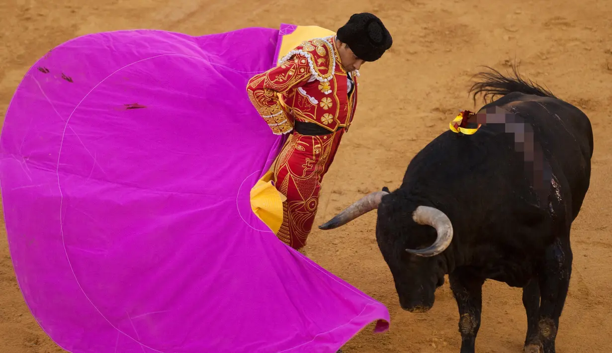 Matador Meksiko, Joselito Adame mengecoh banteng selama adu banteng Picassiana di arena adu banteng Malagueta pada 17 Agustus 2016.  (AFP PHOTO / JORGE GUERRERO)