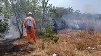 Kebakaran lahan dan hutan jati di Situbondo (Istimewa)