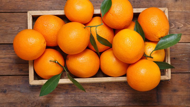 6 Buah Penurun Tekanan Darah Tinggi, dan Ginjal Tetap Sehat