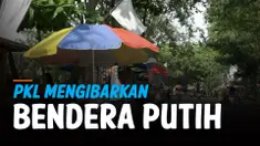 putih thumbnail