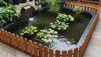 8 Ide Kolam Ikan di Sudut Taman Tanpa Risiko Licin saat Musim Hujan, Bikin Suasana Lebih Hidup