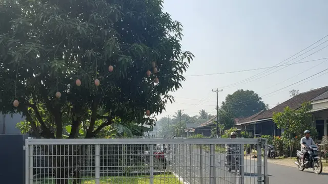 Model Pagar Besi Minimalis Murah di Desa. AI