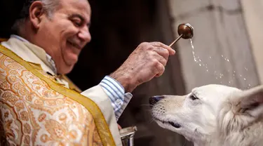 Seorang pendeta memberkati seekor anjing di Gereja San Anton pada perayaan Santo Antonius di Madrid, Spanyol, Rabu (17/1/2024). Santo Antonius merupakan santo pelindung hewan di Spanyol. (AP Photo/Manu Fernandez)
