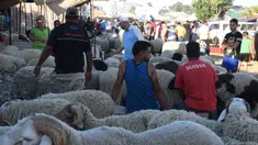 Orang-orang mengunjungi pasar ternak menjelang Hari Raya Idul Adha di Tunis, Tunisia, pada 20 Juli 2020. Hari Raya Idul Adha merupakan salah satu hari raya umat Islam yang dirayakan di seluruh dunia. (Xinhua/Adel Ezzine)