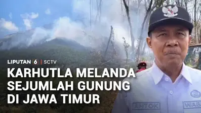 Kebakaran hutan dan lahan atau karhutla, terjadi di sejumlah gunung di Jawa Timur. Di Gunung Lawu sisi Ngawi, kebakaran hutan kian meluas hingga mendekati hutan rakyat. Sementara di Tulungagung, api menghanguskan kawasan Bukit Lemparan yang menjadi l...