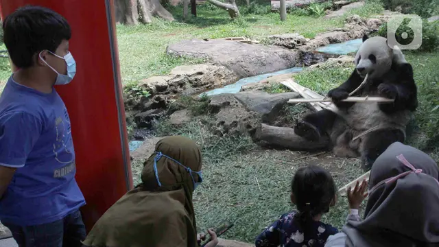 FOTO: Dampak PSBB Jakarta, Wisatawan ke Kawasan Puncak Turun 50 Persen