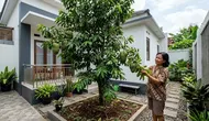 15 Tanaman Buah yang Tidak Mudah Terserang Hama, Perawatannya Relatif Praktis