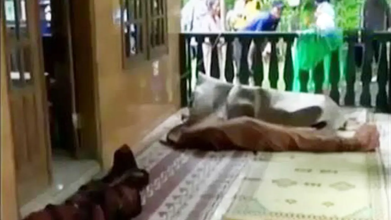 Longsor Purworejo Telan Korban hingga Keliling Dunia Bersama Ayam