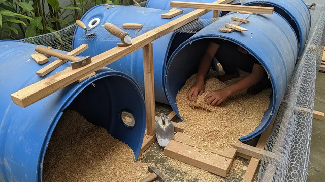 Cara Membuat Kandang Ayam dari Tong Air Bekas, Solusi Murah dan Praktis
