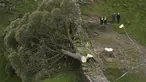 Petugas polisi melihat pohon di Sycamore Gap, di sebelah Hadrian's Wall yang tumbang dalam semalam, di Northumberland, Inggris, Kamis 28 September 2023. (Owen Humphreys/PA via AP)