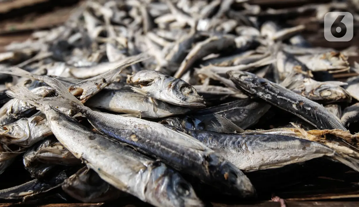 Ikan asin saat dijemur di sentra produksi kawasan Kampung Nelayan Muara Angke, Jakarta, Kamis,(17/2/2022). Kementerian Keuangan mengalokasikan anggaran untuk program Pemulihan Ekonomi Nasional (PEN) tahun 2022 sebesar Rp455,62 triliun. (Liputan6.com/Johan Tallo)