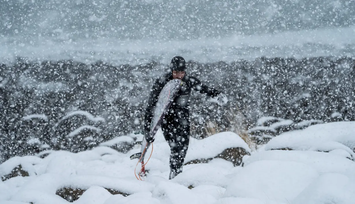 Seorang surfer atau peselancar berjalan keluar dari air di bawah hujan salju di Unstad, Norwegia Utara (11/3). Pria ini berselancar di wiliyah Lingkaran Arktik dengan suhu minus 13 derajat Celsius. (AFP Photo/Olivier Morin)